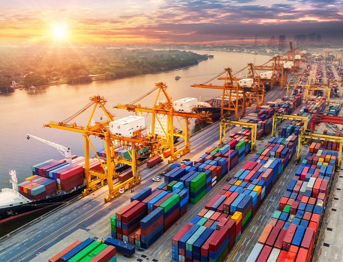 Heavy Equipment Rental - Excavators on site