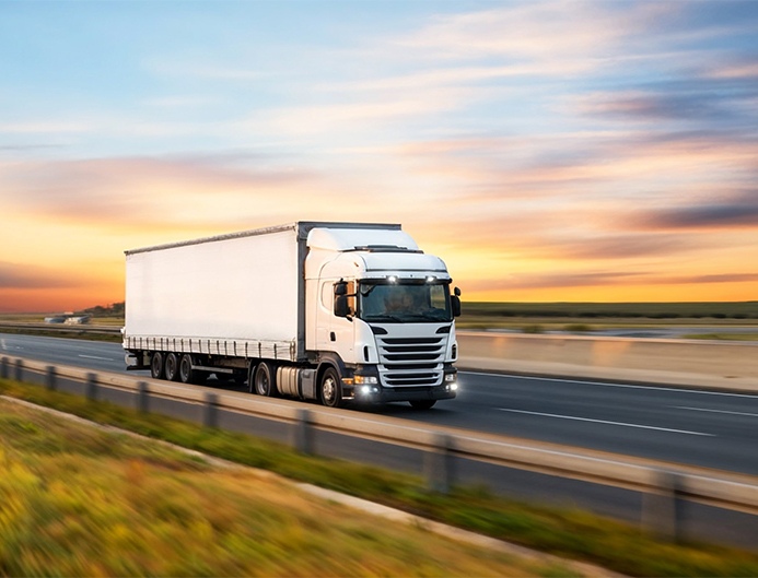 Heavy Equipment Rental - Excavators on site